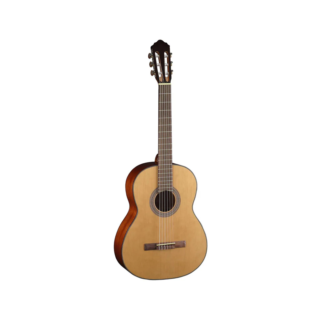 Cort AC200 Classical Guitar w/Bag, Open Pore