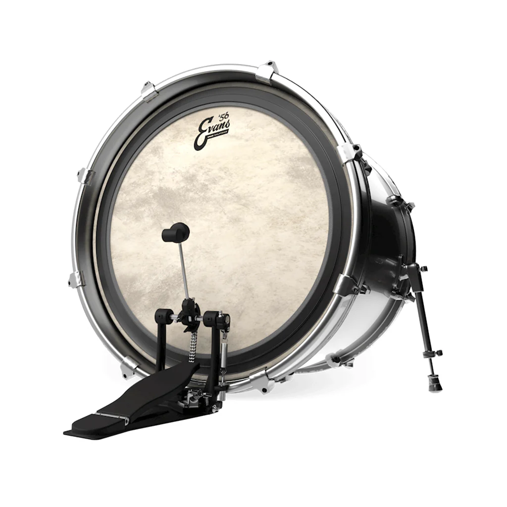 Evans BD24EMADCT 24inch EMAD Calftone- Bass - Image 3
