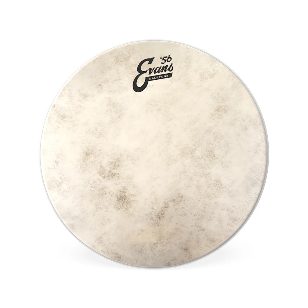 Evans TT10C7 10inch Calftone - Tom