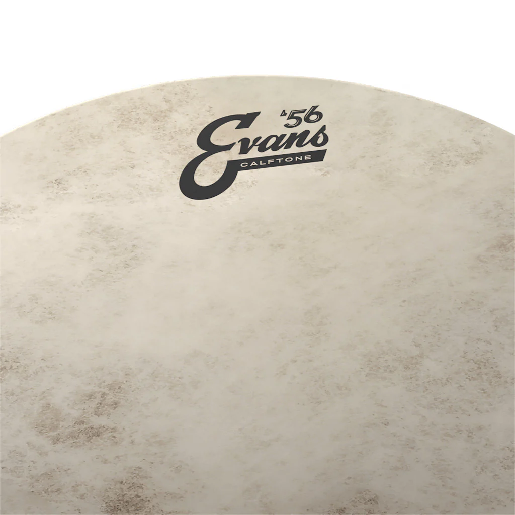 Evans TT10C7 10inch Calftone - Tom - Image 2
