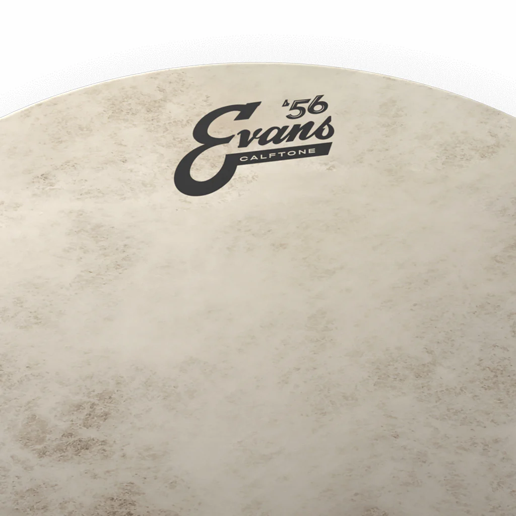 Evans TT16C7 16inch Calftone Tom Drumhead - Image 2