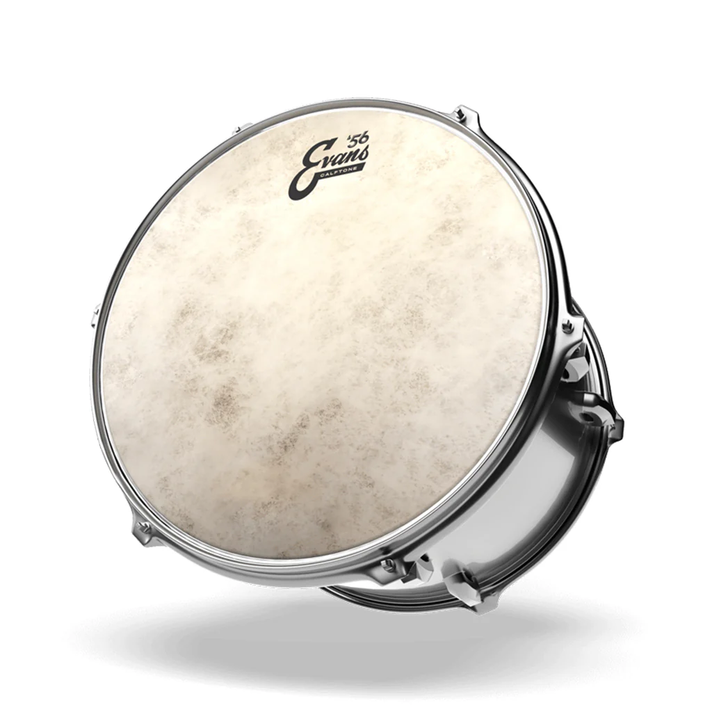 Evans TT16C7 16inch Calftone Tom Drumhead - Image 3