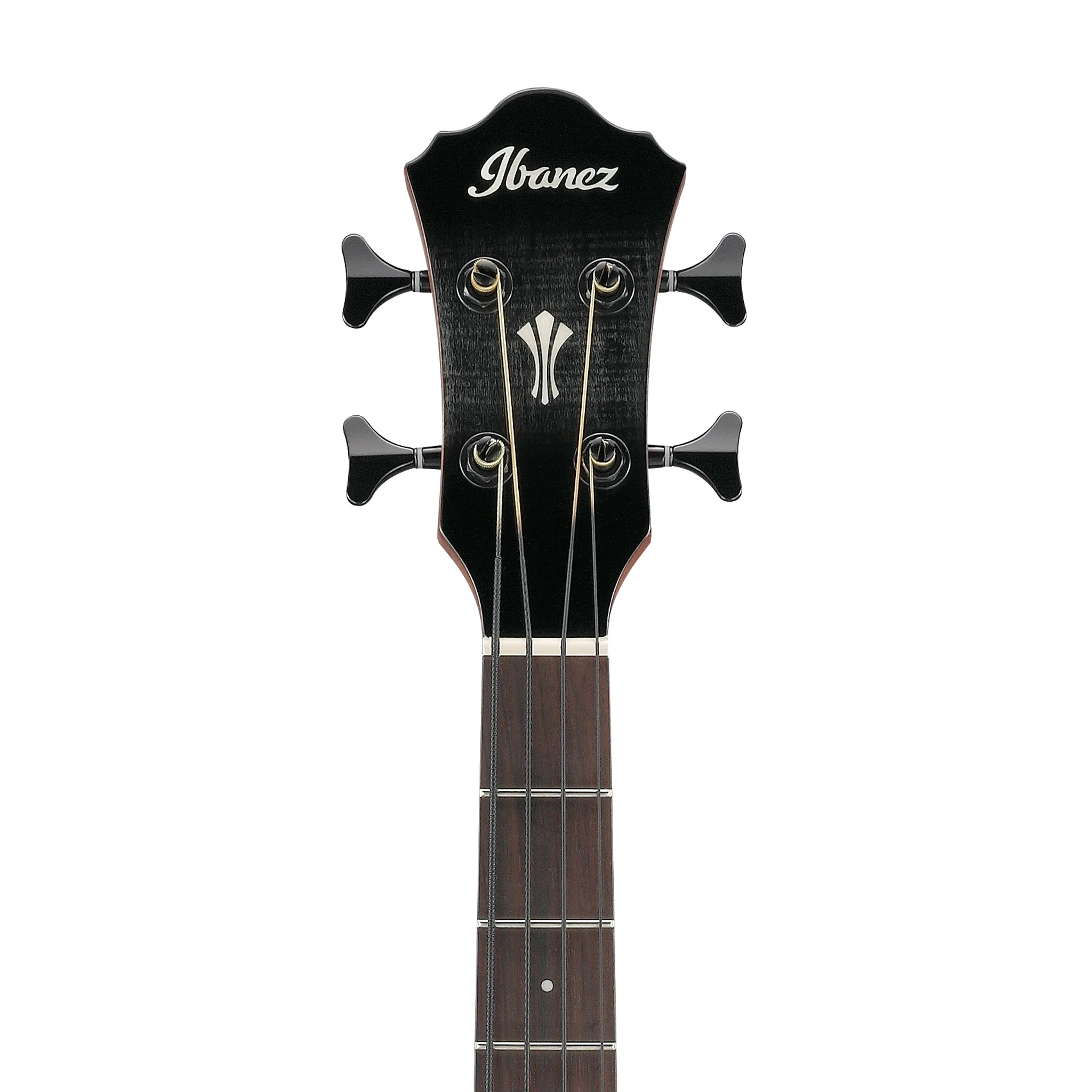 Ibanez AEGB25E-TKH Acoustic Bass Guitar, Transparent Black Sunburst High Gloss - Image 6