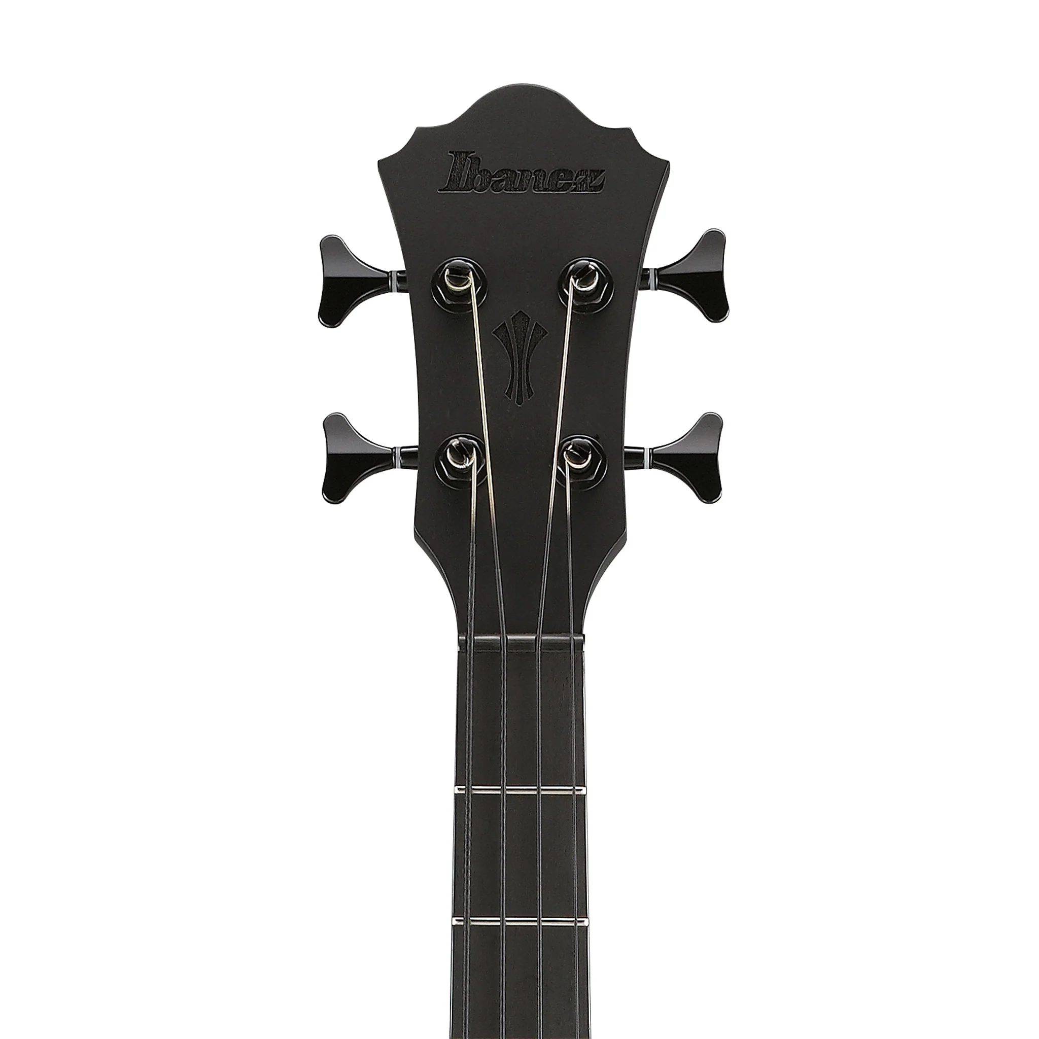 Ibanez AEGB420-BOT Acoustic Bass Guitar, Black Out - Image 5