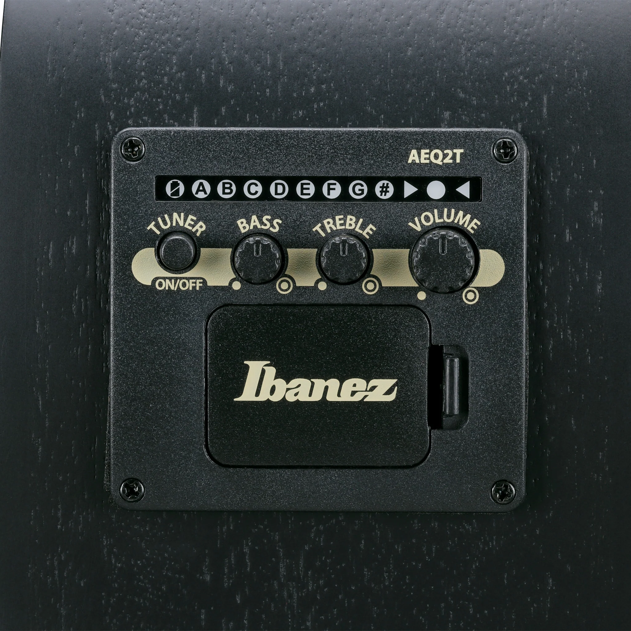 Ibanez AEGB420-BOT Acoustic Bass Guitar, Black Out - Image 8