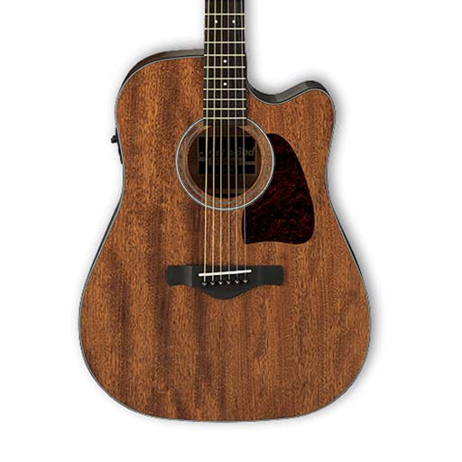 Ibanez AW54CE-OPN Artwood Acoustic Guitar, Open Pore Natural - Image 2
