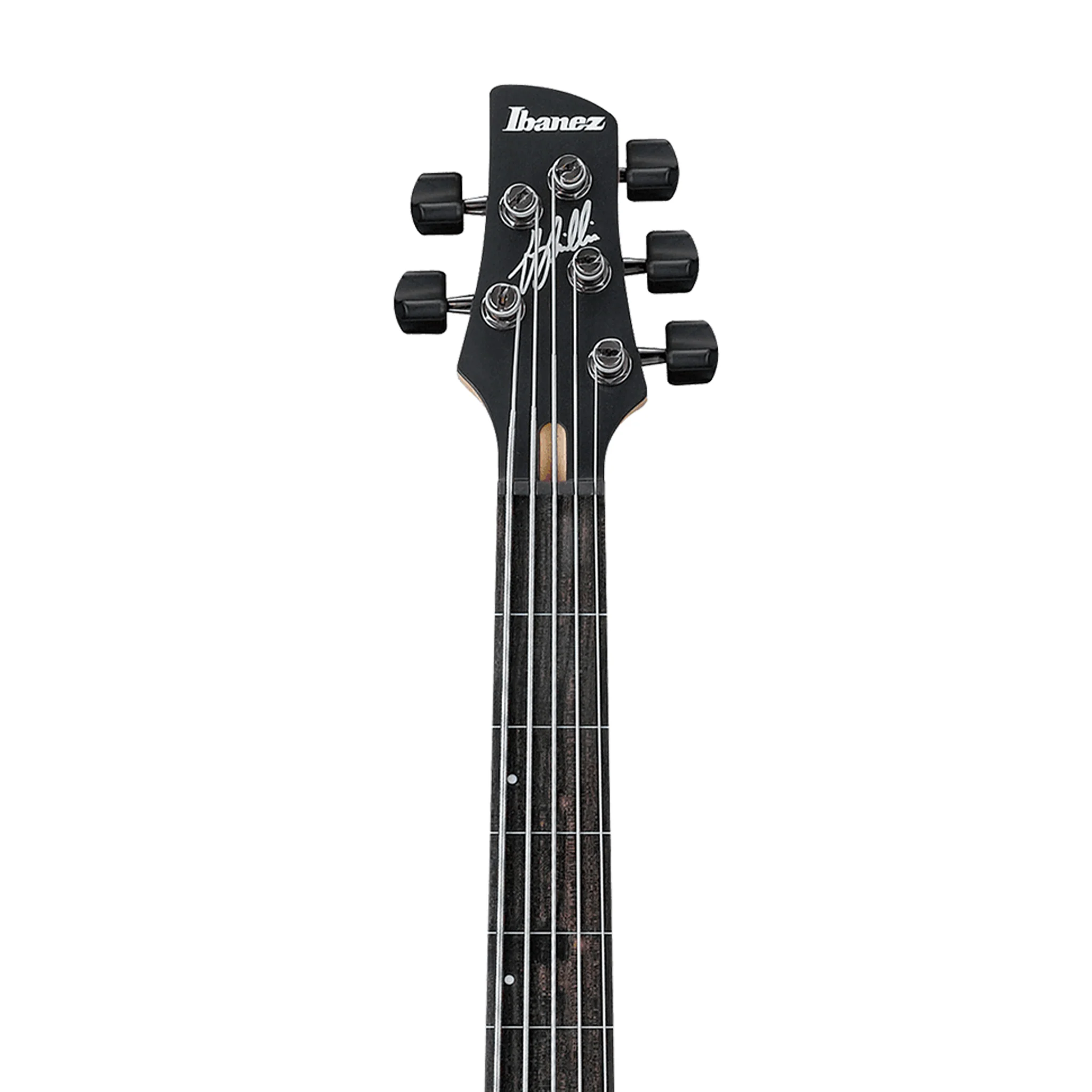 Ibanez Premium GWB205-TQF Gary Willis 5-String Fretless Bass Guitar w/Gig Bag, Tequila Sunrise Flat - Image 3