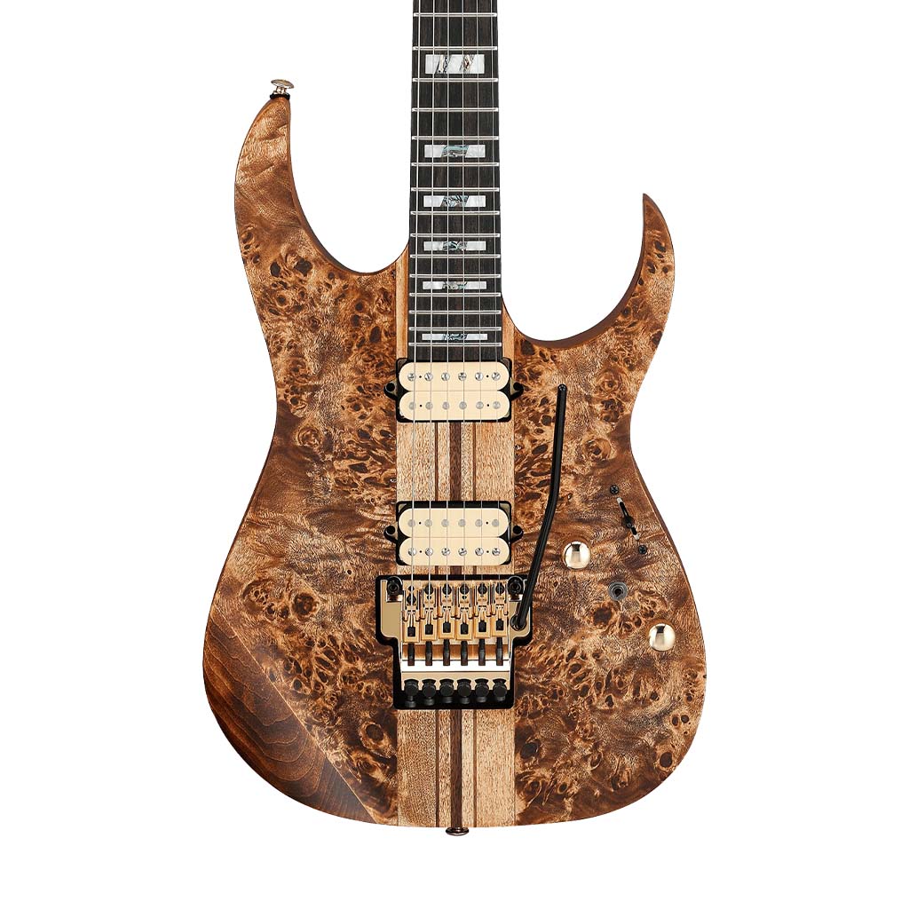 Ibanez Premium RGT1220PB-ABS Electric Guitar w/Case, Antique Brown Stained - Image 3