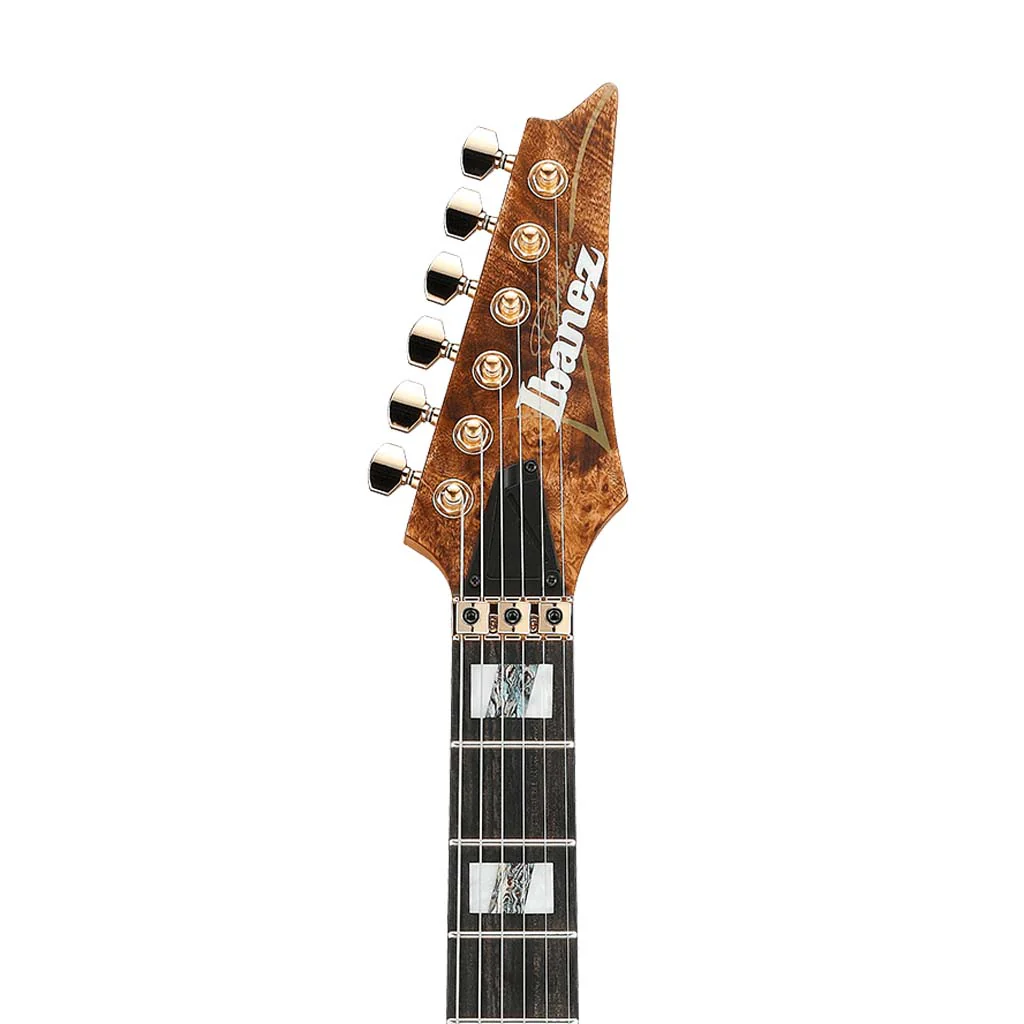 Ibanez Premium RGT1220PB-ABS Electric Guitar w/Case, Antique Brown Stained - Image 5