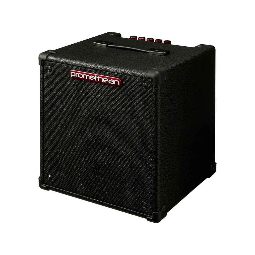 Ibanez Promethean P20 20w 1x8inch Combo Bass Amplifier - Image 2