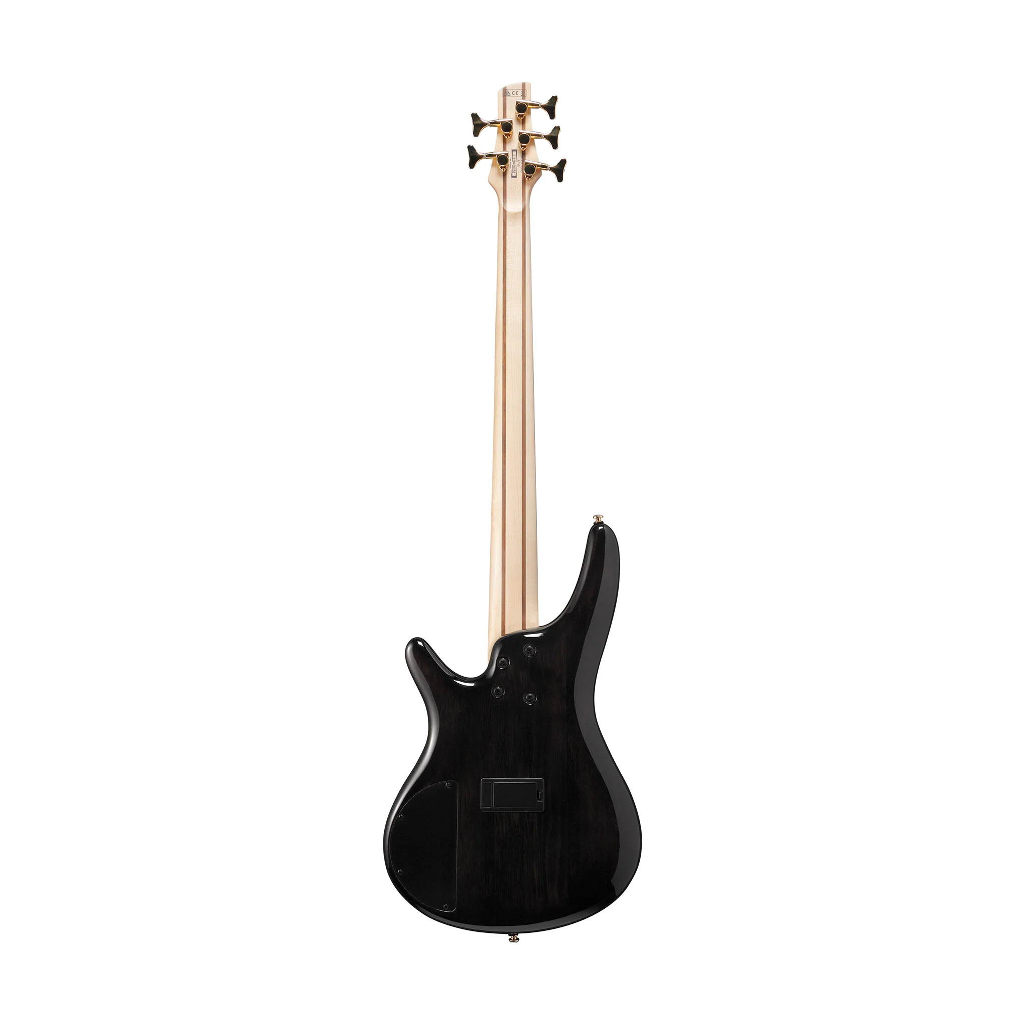Ibanez SR405EPBDX Standard 5-String Bass Guitar, Tropical Seafloor Burst - Image 2