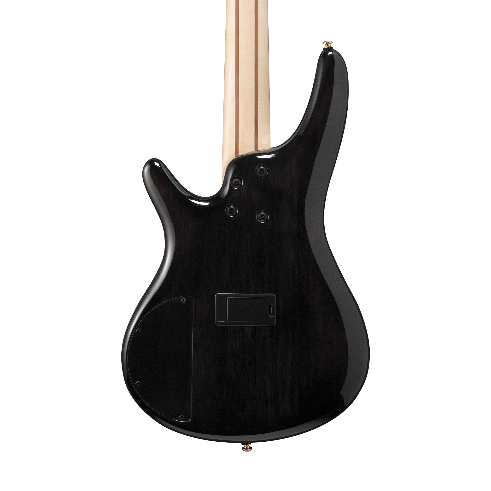 Ibanez SR405EPBDX Standard 5-String Bass Guitar, Tropical Seafloor Burst - Image 5