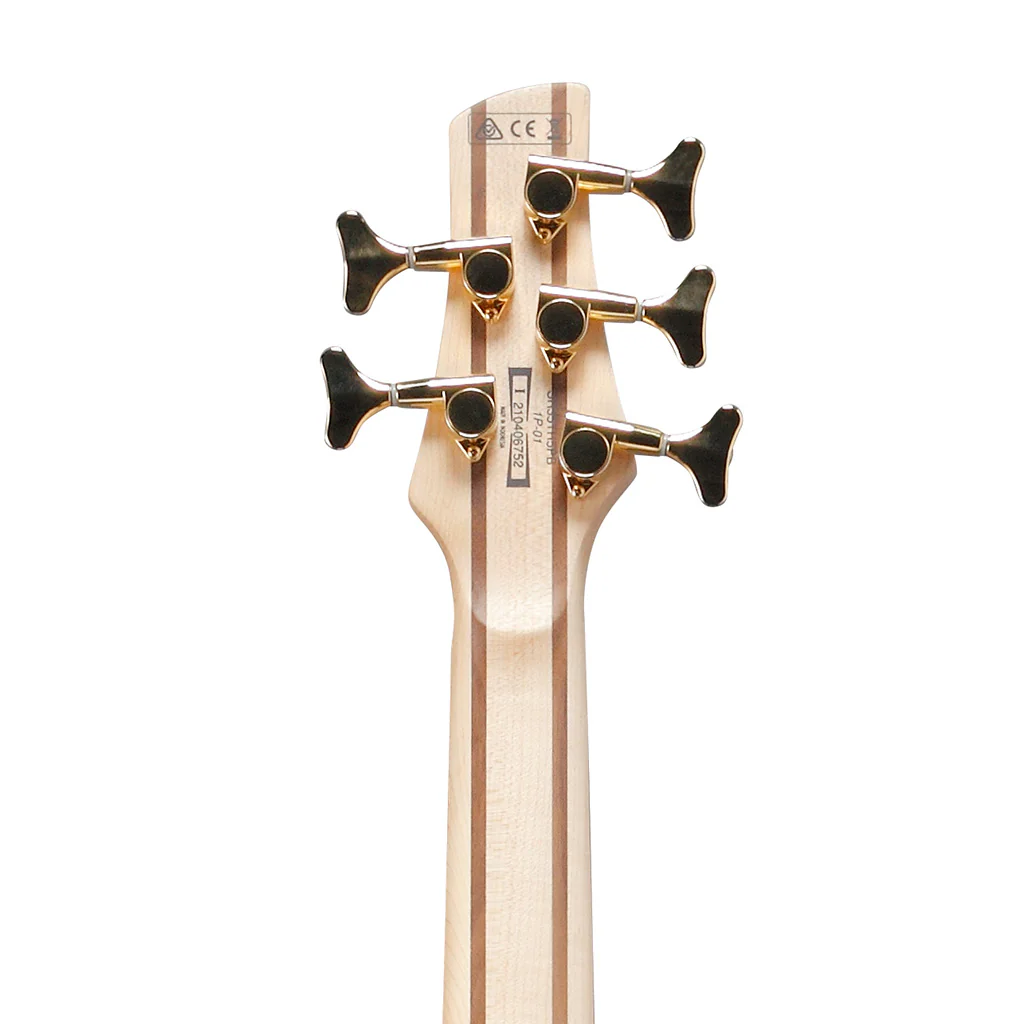 Ibanez SR405EPBDX Standard 5-String Bass Guitar, Tropical Seafloor Burst - Image 7