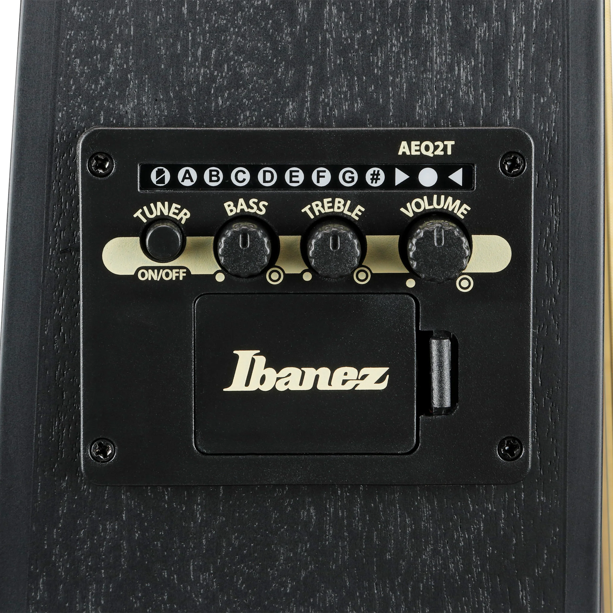 Ibanez TCY621-BOT Acoustic-Electric Guitar, Black Out - Image 9