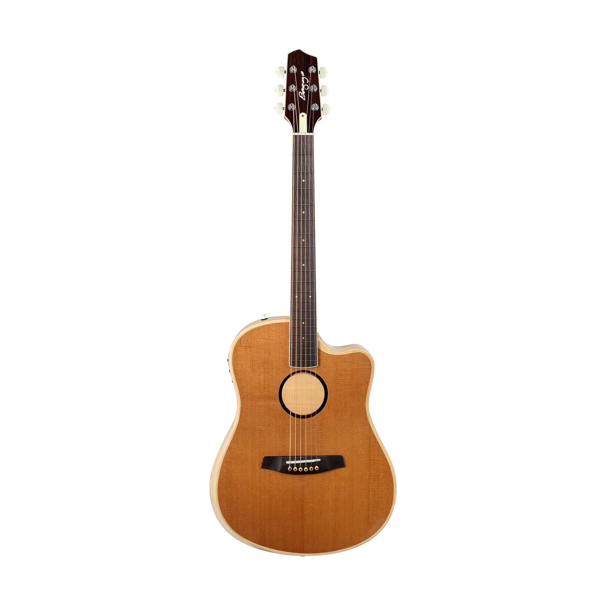 LR Baggs AEG-1 Acoustic Electric Guitar, Torrefied Sitka Spruce Top