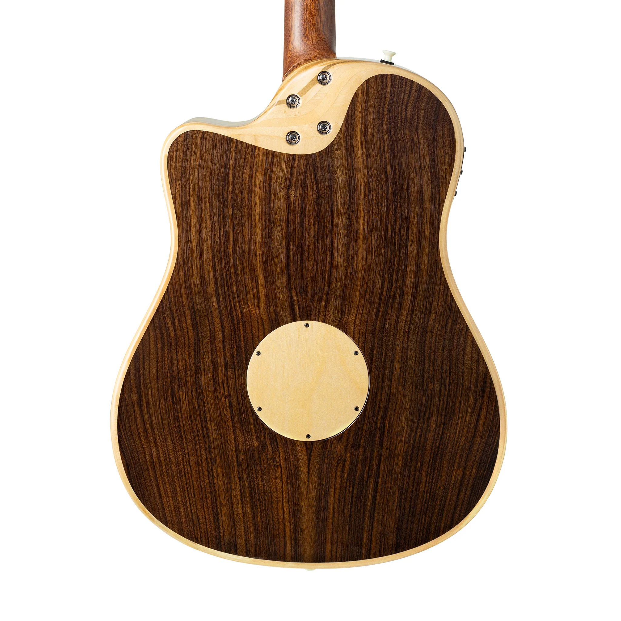 LR Baggs AEG-1 Acoustic Electric Guitar, Torrefied Sitka Spruce Top - Image 4