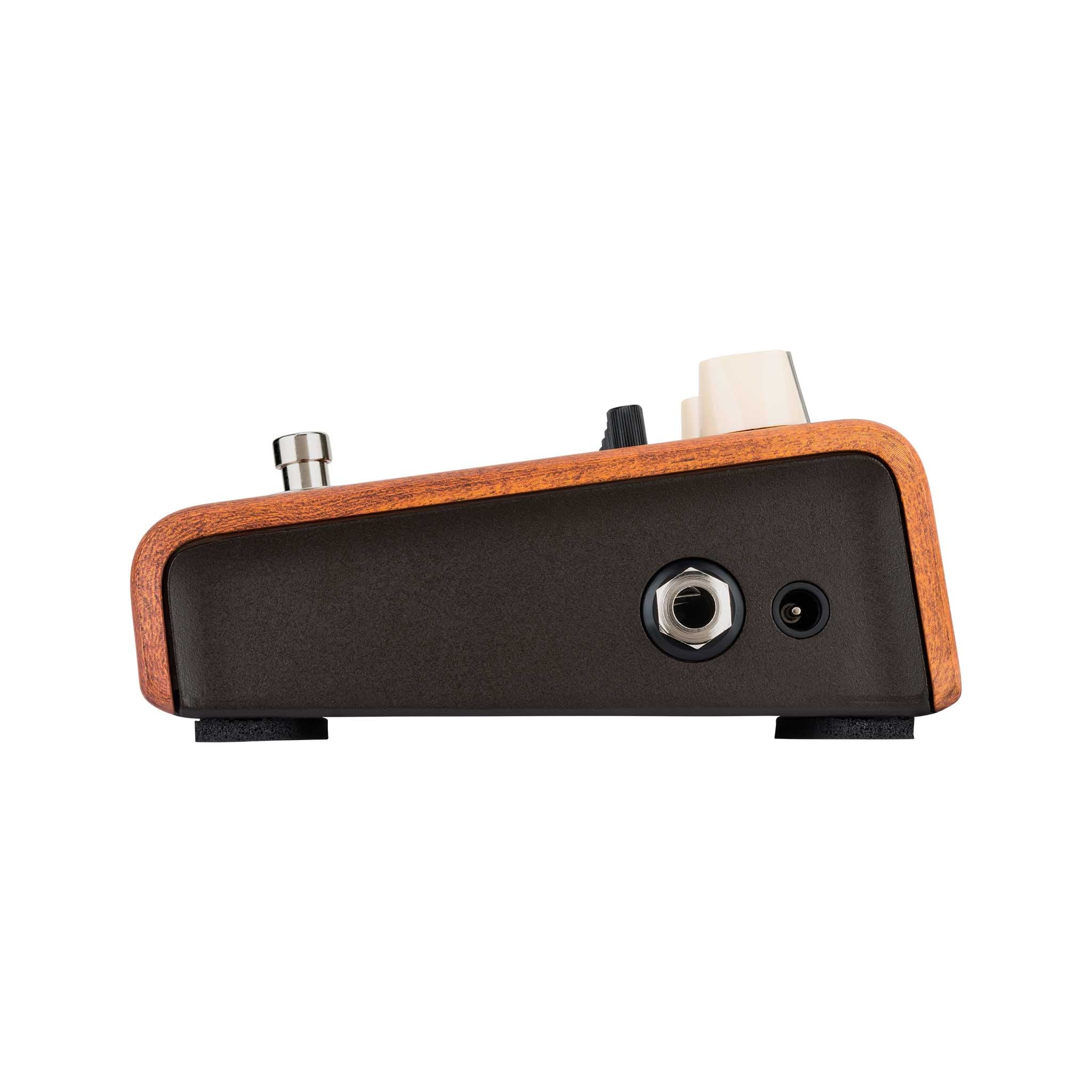 LR Baggs Align Series Equalizer Acoustic Pedal - Image 3