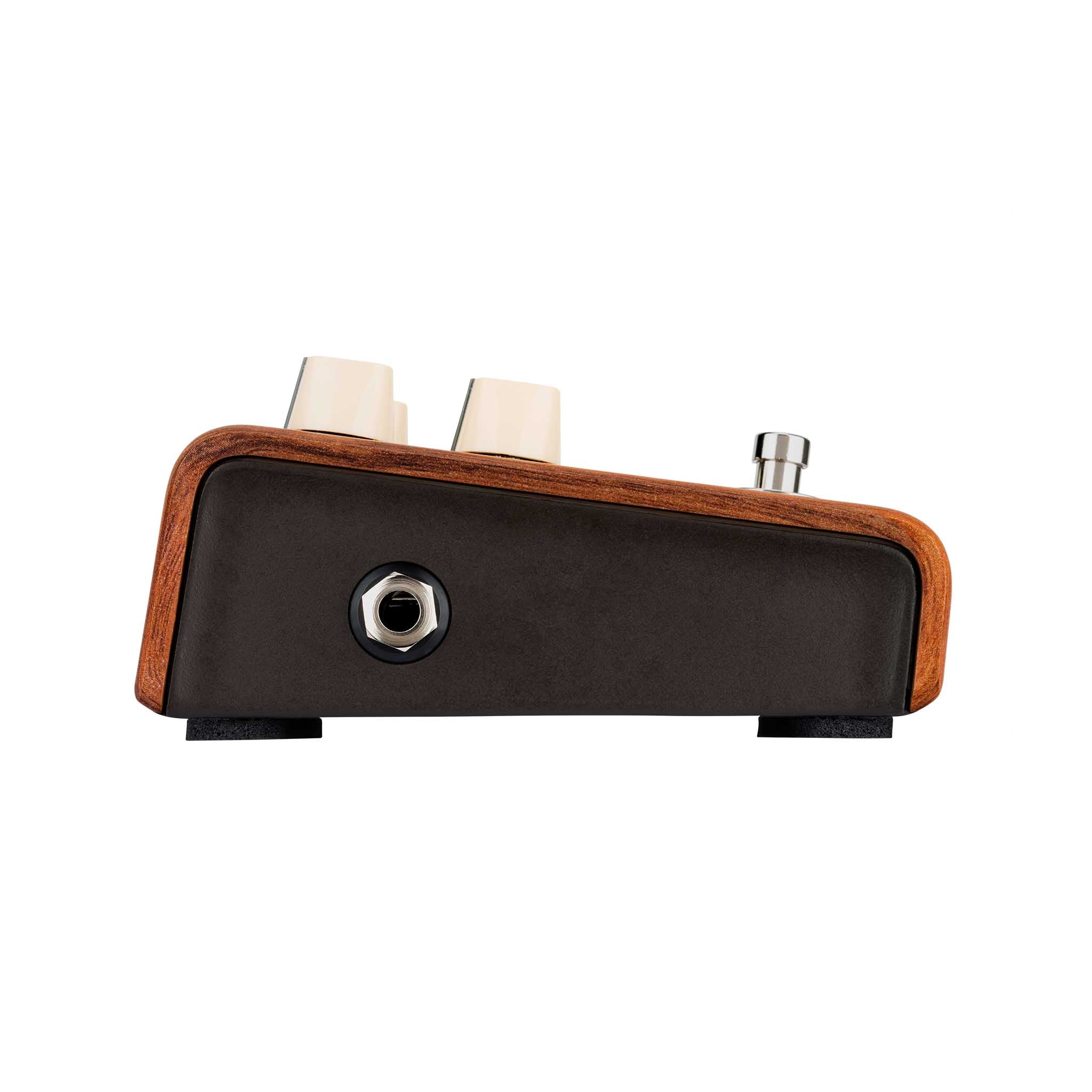 LR Baggs Align Series Reverb Acoustic Pedal - Image 2