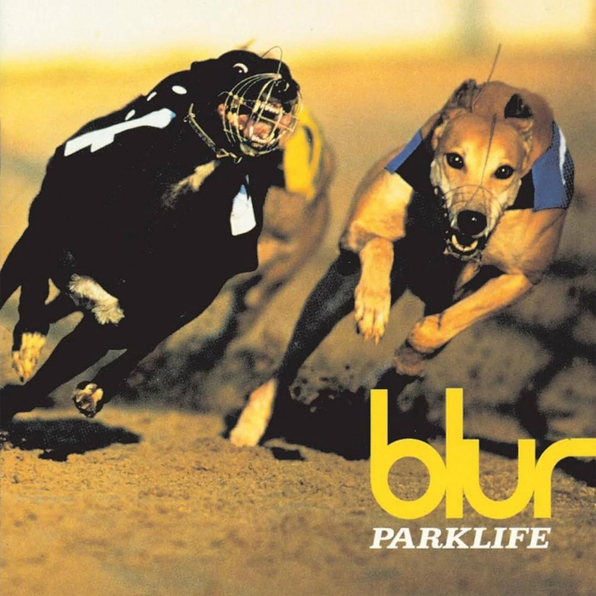 Parklife - Blur (Vinyl) (AE)
