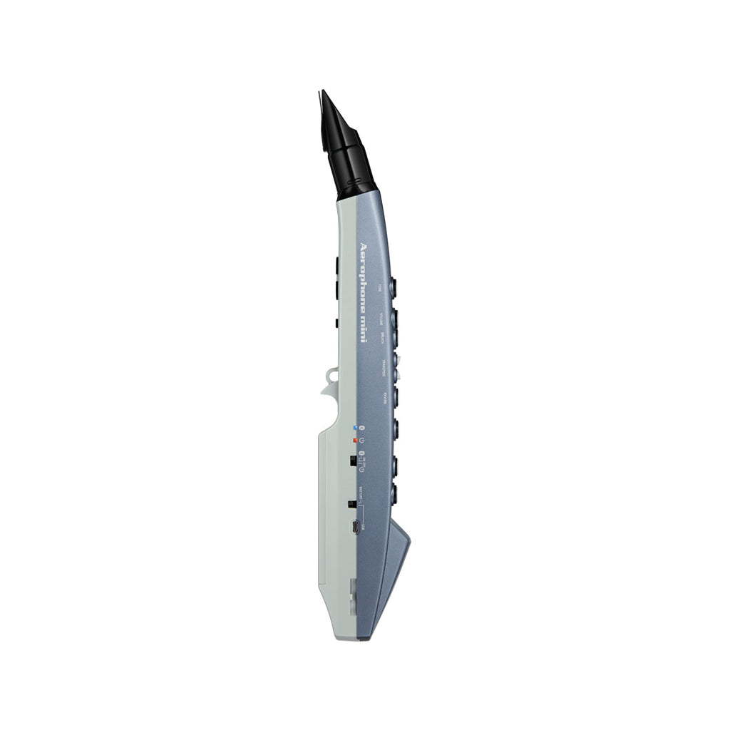 Roland AE-01 Aerophone mini Digital Wind Instrument - Image 3