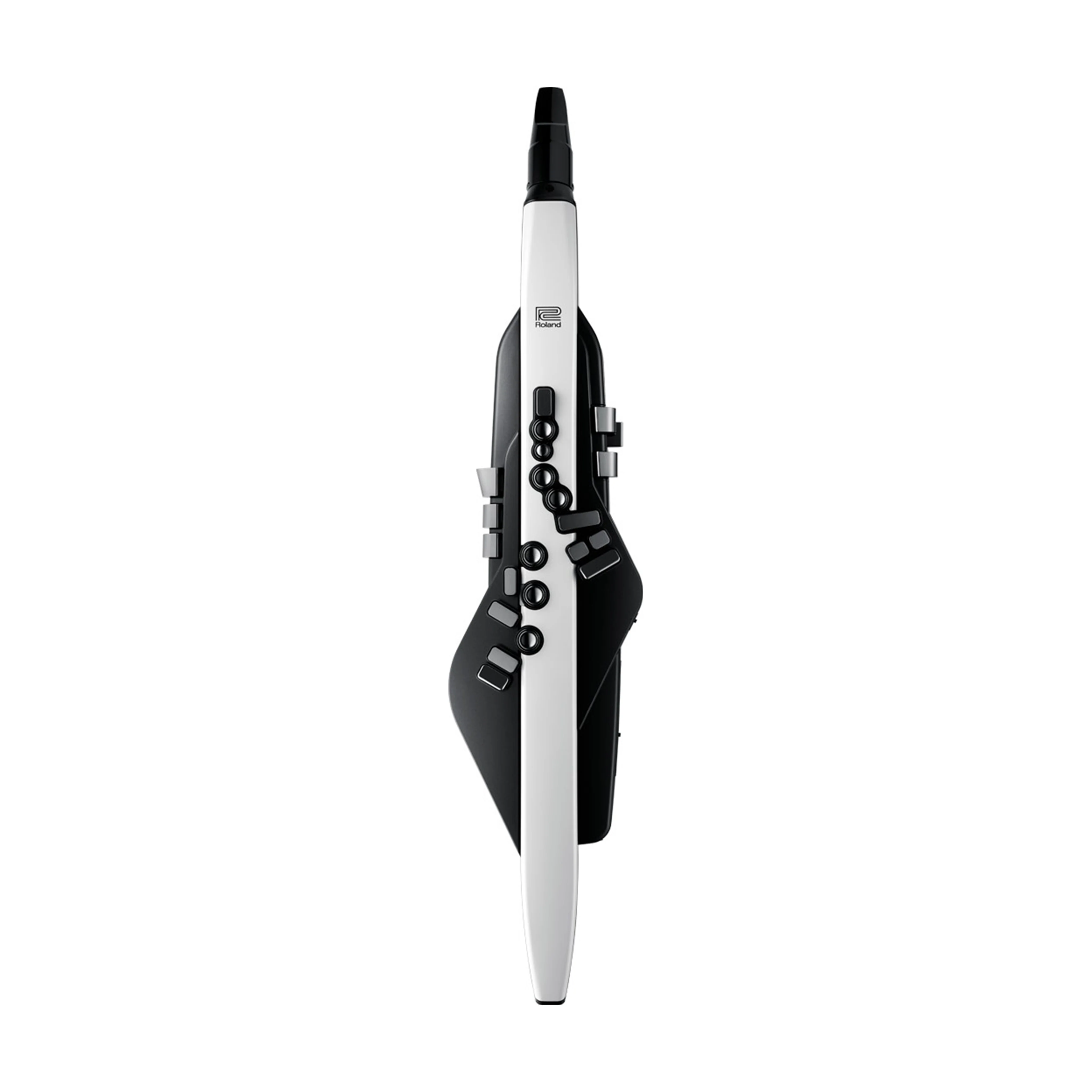 Roland Aerophone AE-20
