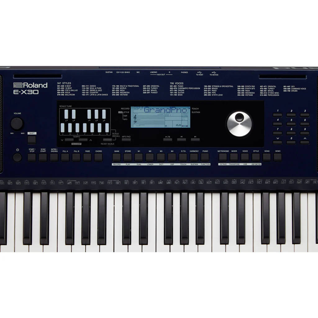 Roland E-X30 Arranger Keyboard - Image 9
