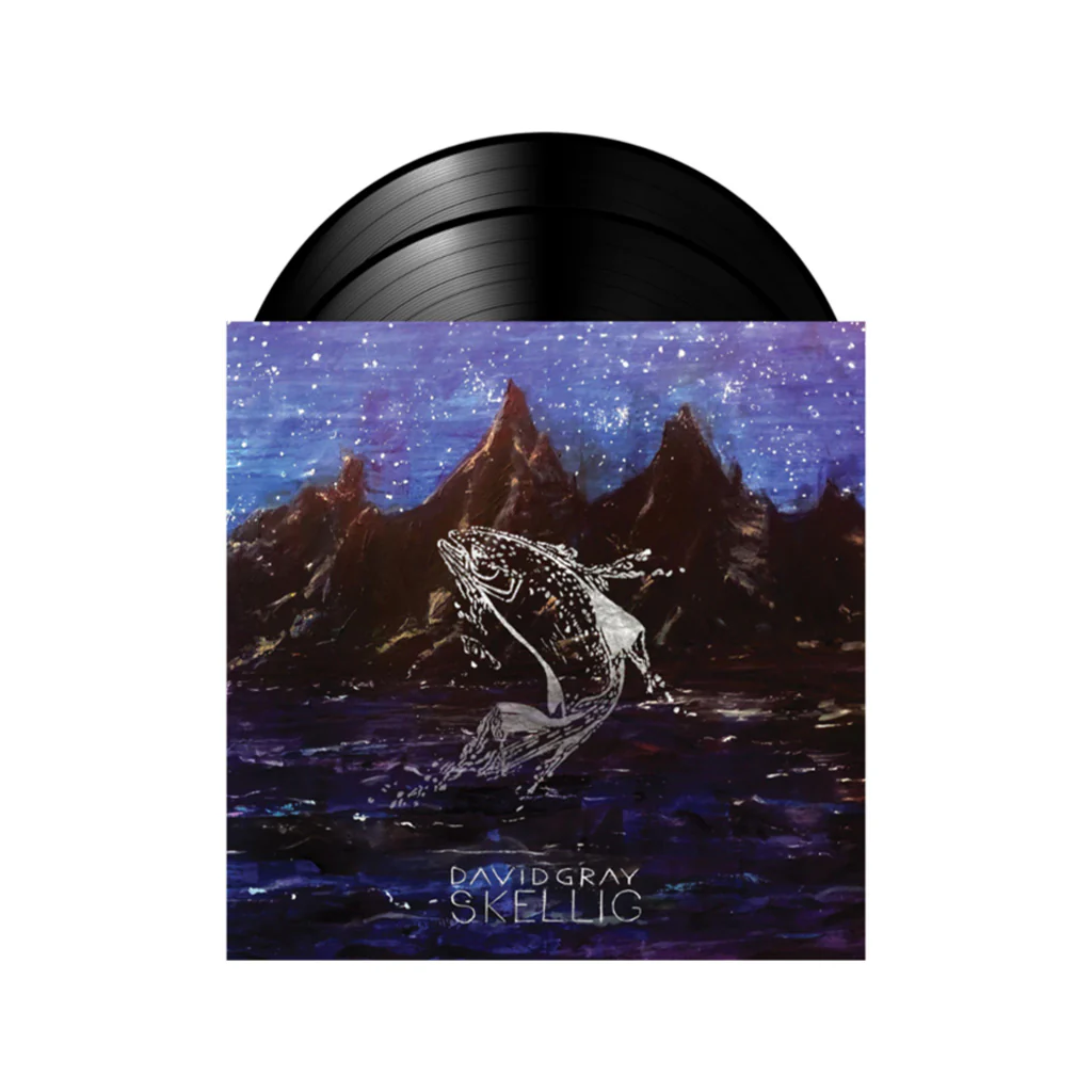 Skellig - David Gray (Vinyl) (LD) - Image 2
