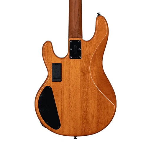 Sterling by Music Man Ray34 HH Poplar Burl Top Bass Guitar, Amber - Image 4