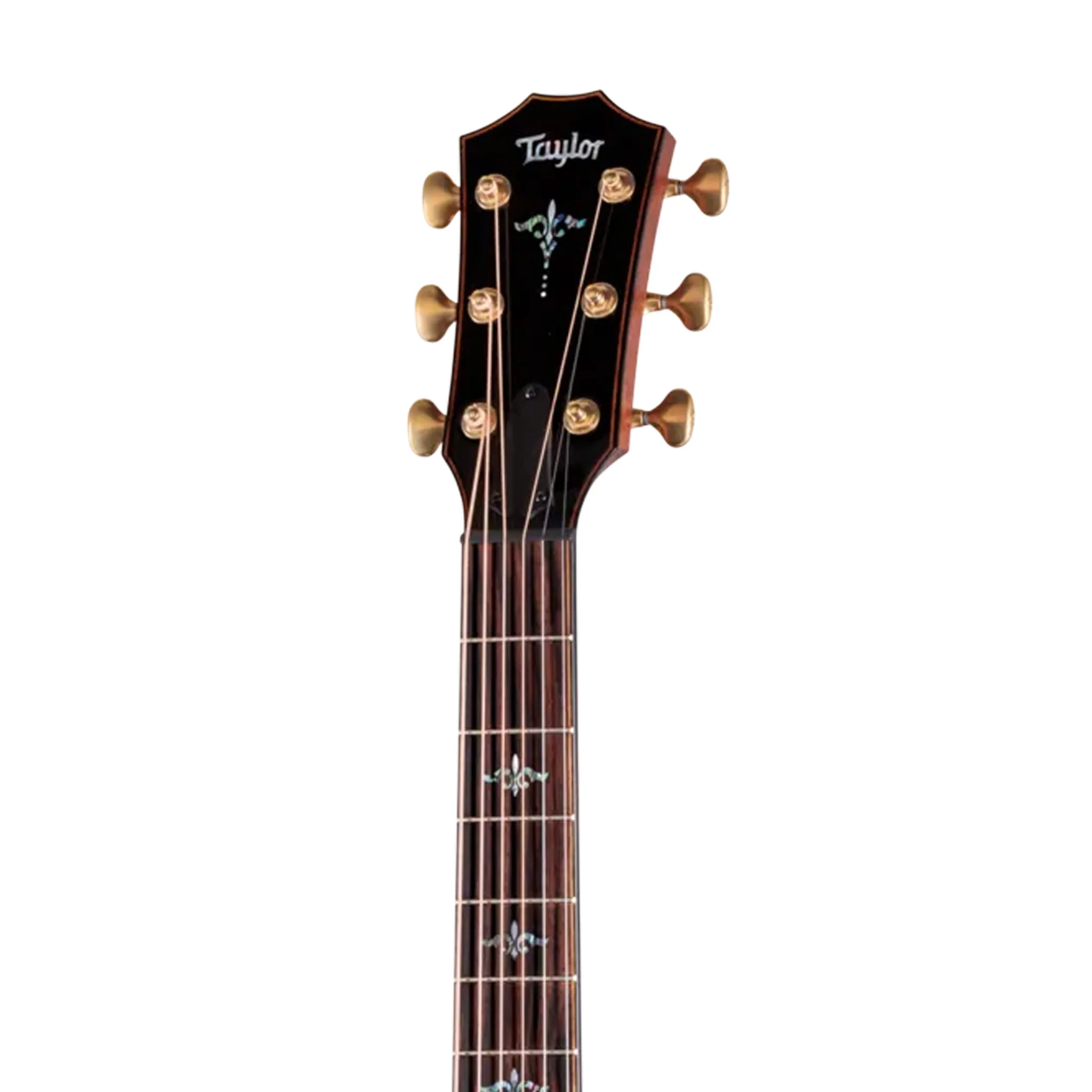 Taylor Builders Edition 914ce LTD Macassar Ebony/Sinker Redwood Grand Auditorium Ac Guitar w/Case - Image 5