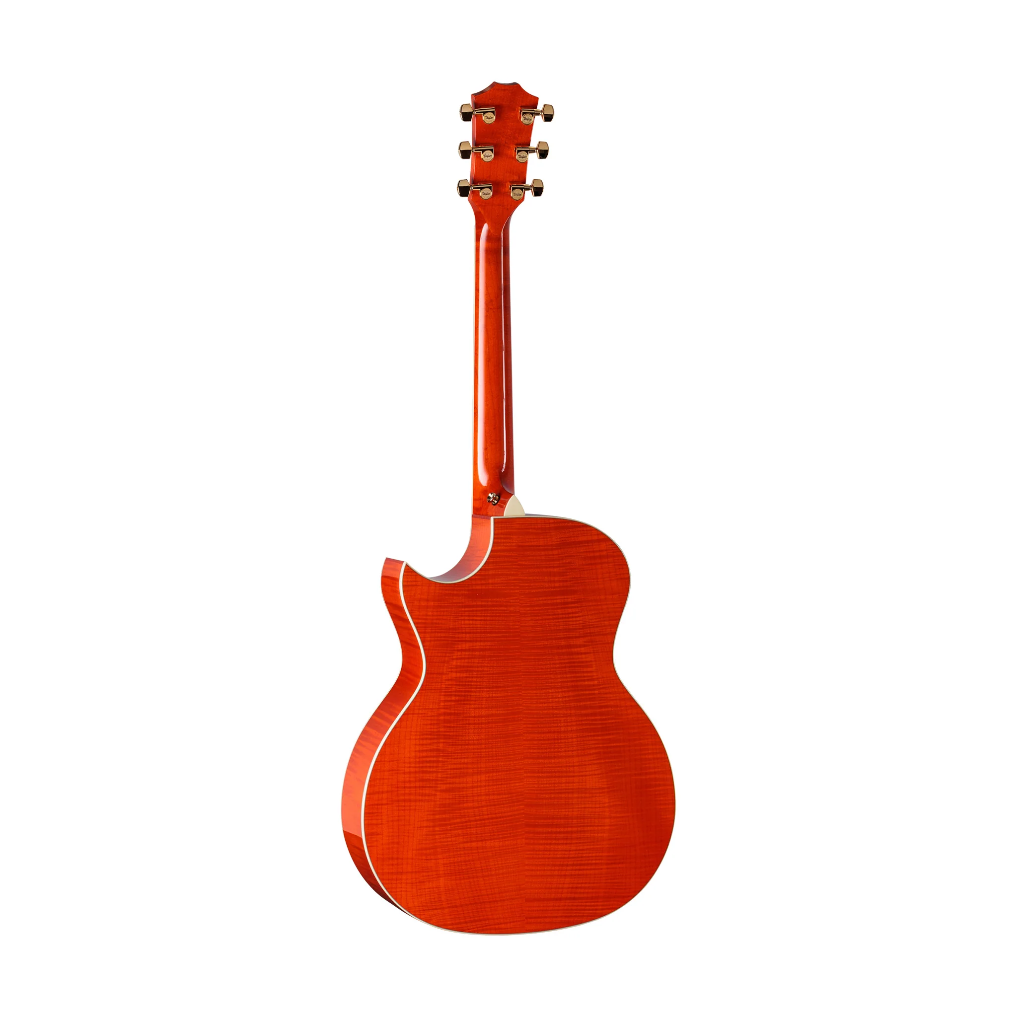 Taylor Doyle Dykes Signature Model Acoustic Guitar - Image 2