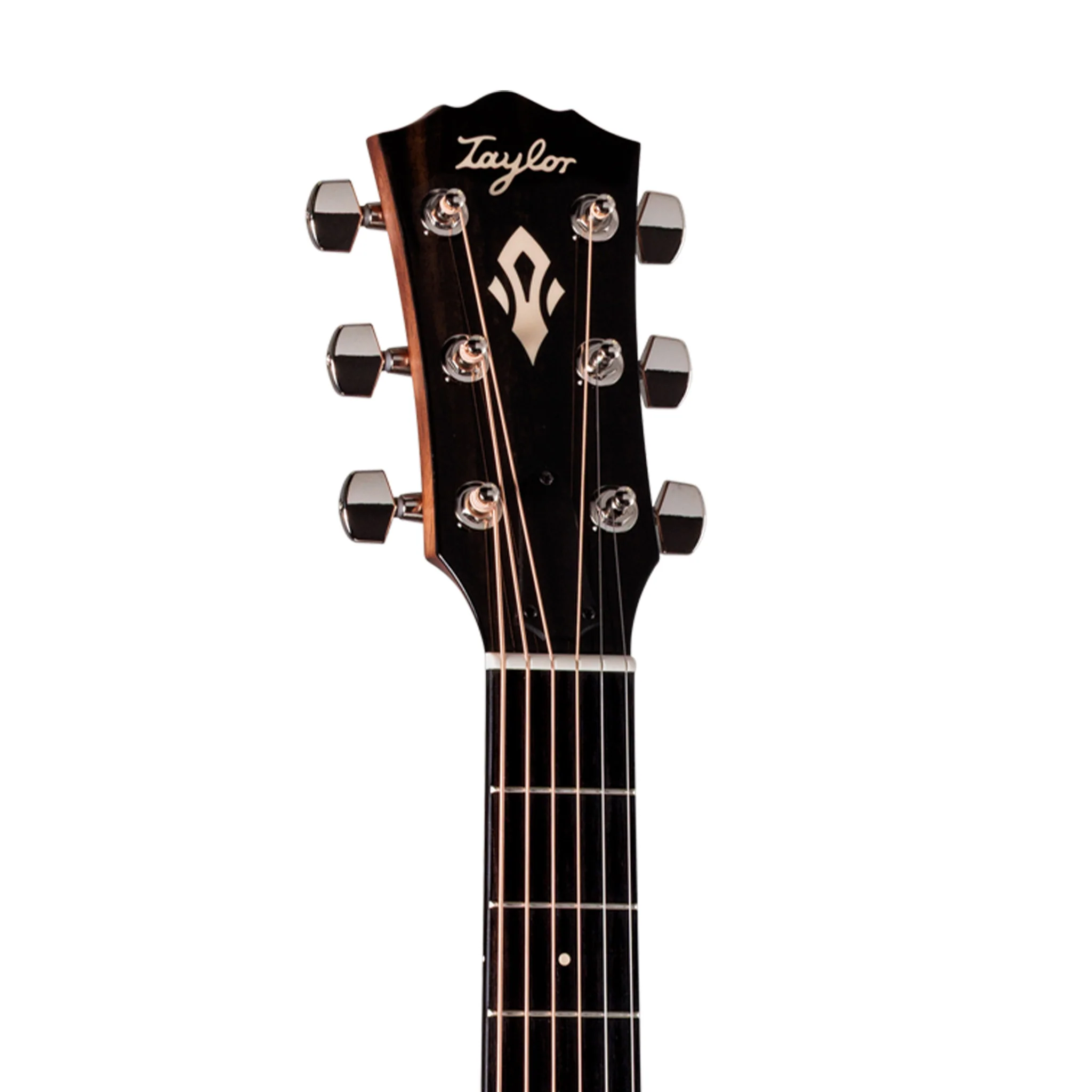 Taylor Gold Label 512e Mahogany/Torrefied Sitka Acoustic Guitar - Image 5