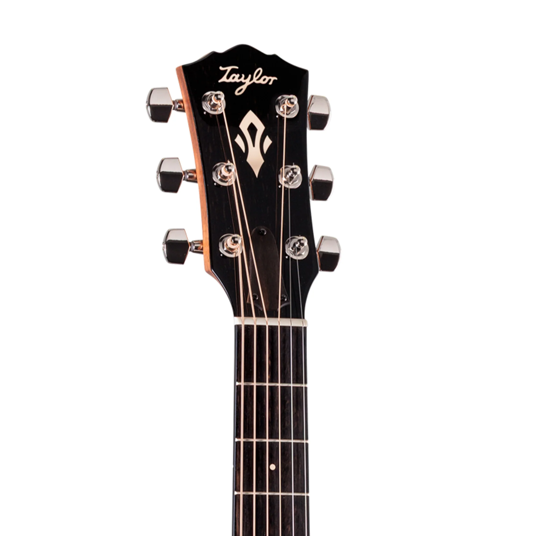 Taylor Gold Label 712e Indian RW/Torrefied Sitka Acoustic Guitar - Image 5