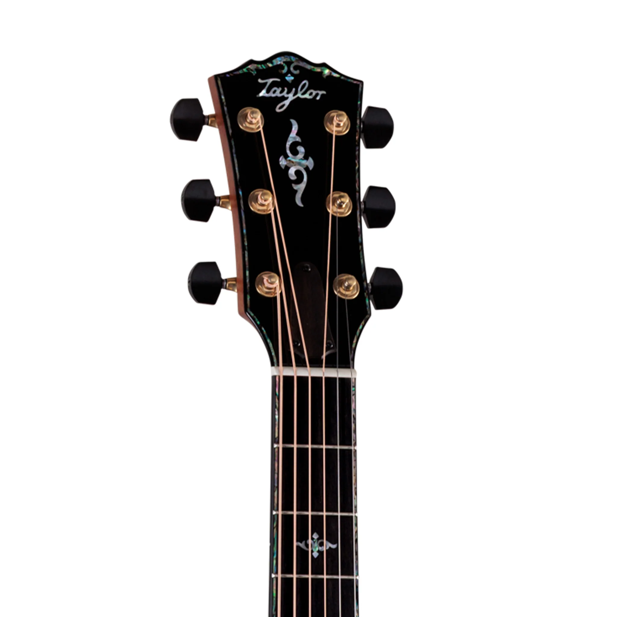 Taylor Gold Label 917e Acoustic Guitar w/Case, Natural - Image 5