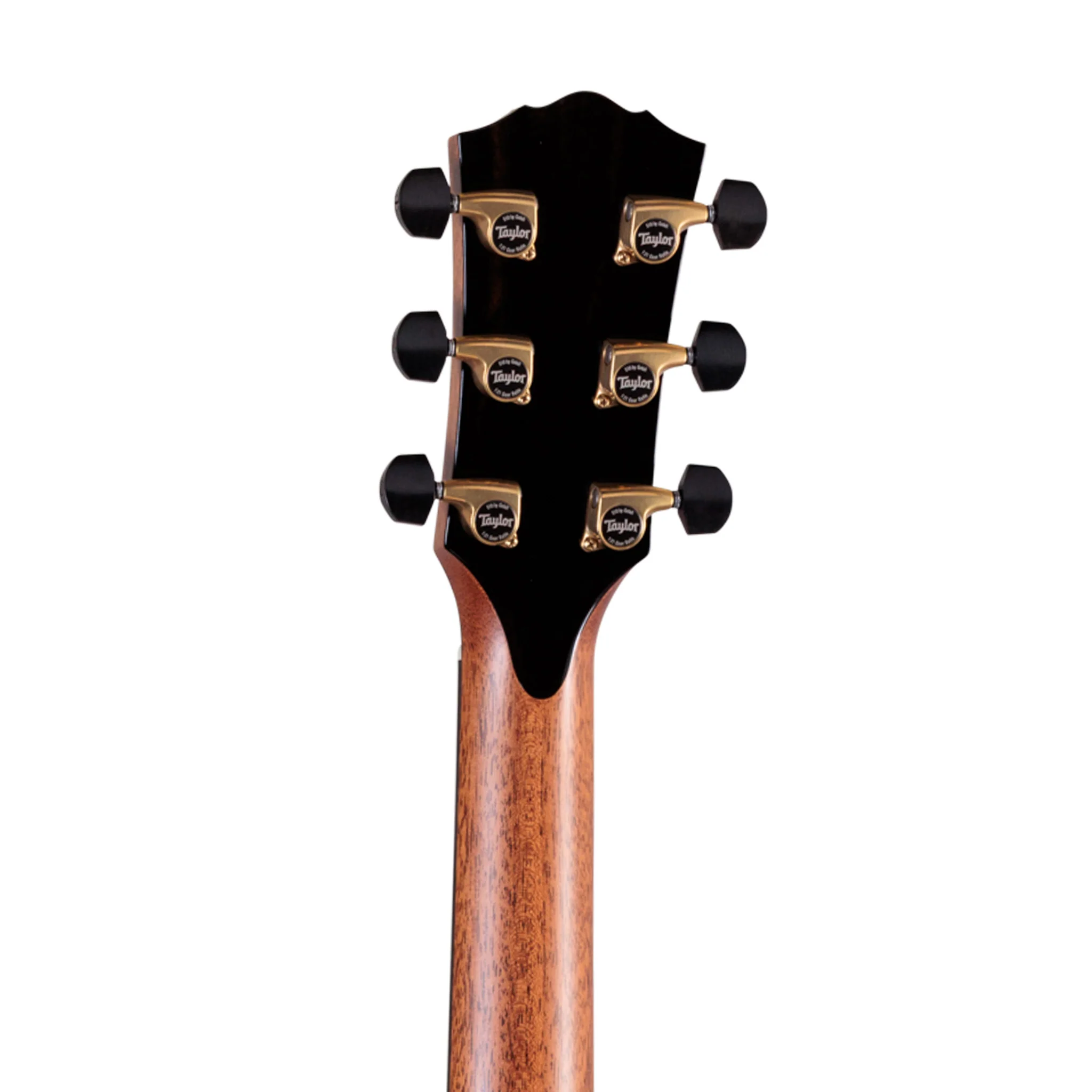 Taylor Gold Label 917e Acoustic Guitar w/Case, Natural - Image 6
