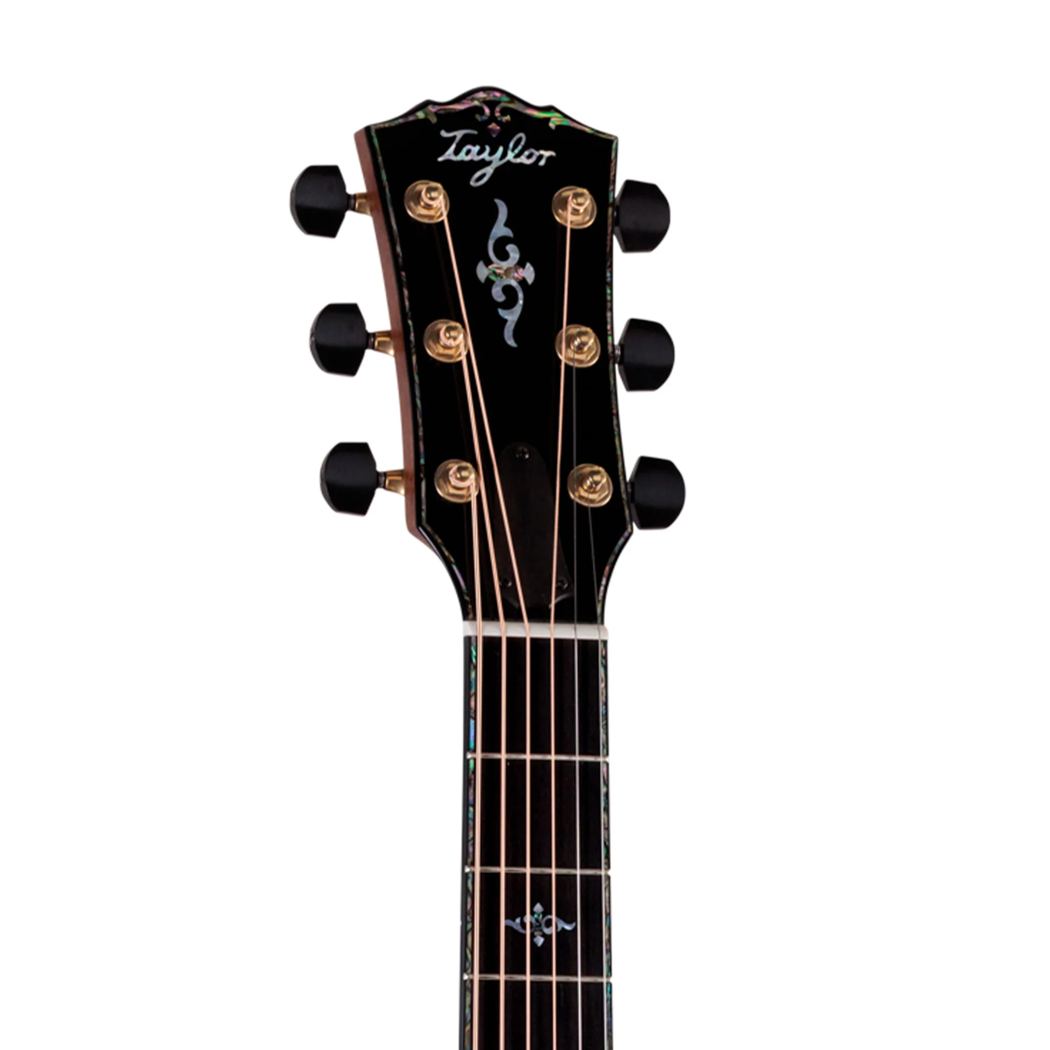 Taylor Gold Label 917e Acoustic Guitar w/Case, Sunburst - Image 5