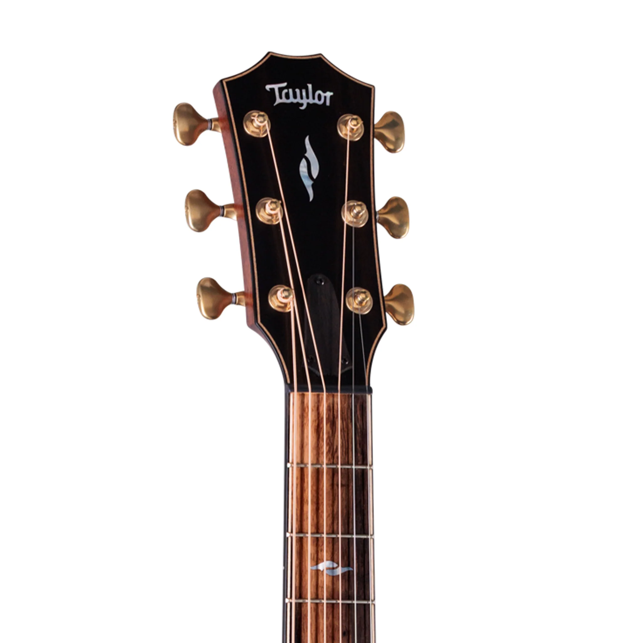 Taylor Next Generation Builder's Edition 814ce Indian RW /Adi Spruce Acoustic Guitar w/Case, Blacktop - Image 5
