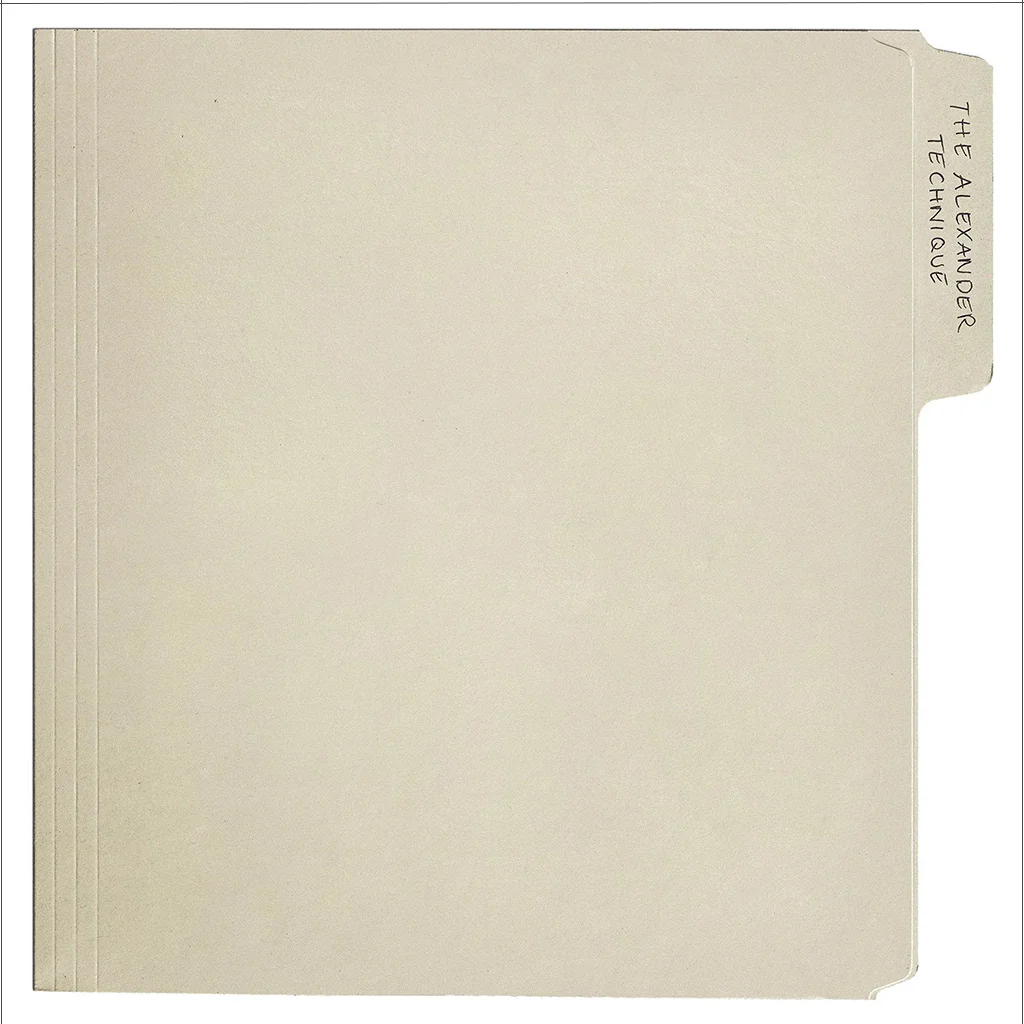 The Alexander Technique (Limited Edition) (White Vinyl) - Rex Orange County (Vinyl) (AE)